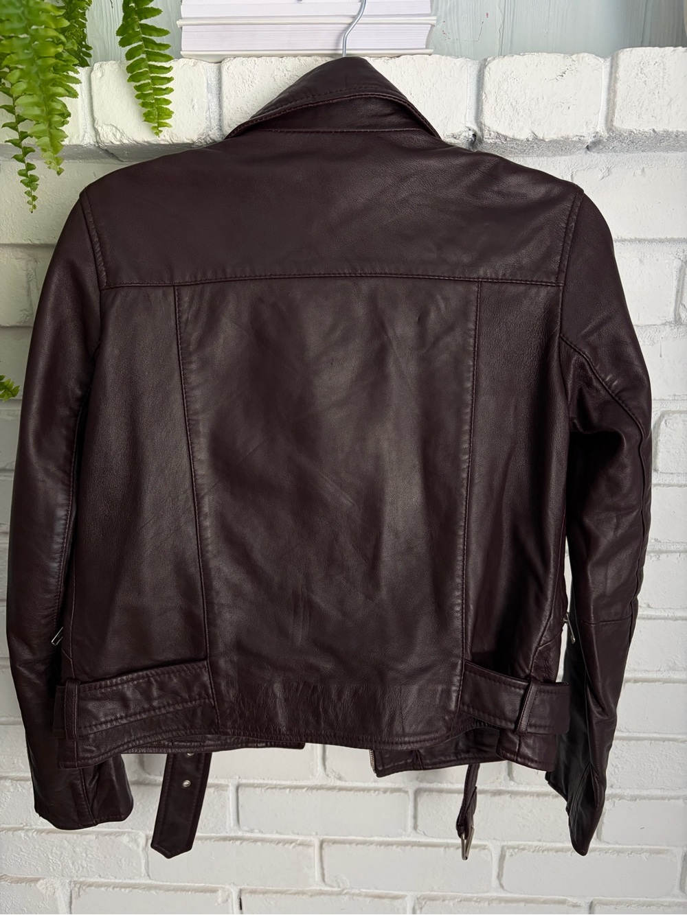 Quince Chocolate Brown Leather Moto Jacket - Picture 2 of 6